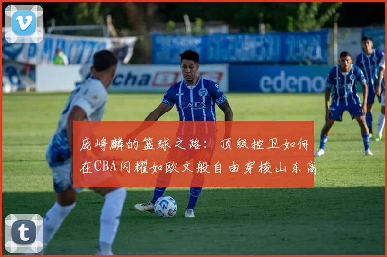 庞峥麟的篮球之路：顶级控卫如何在CBA闪耀如欧文般自由穿梭山东高速